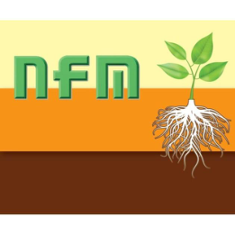 Hình nhãn hiệu trong hồ sơ 4-2026-38207